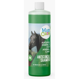 Anti Fungal Shampoo Qt