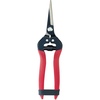 Corona Fern Clippers-12020372