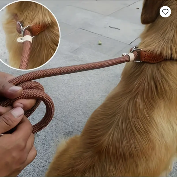 Slip Lead Dog Leash