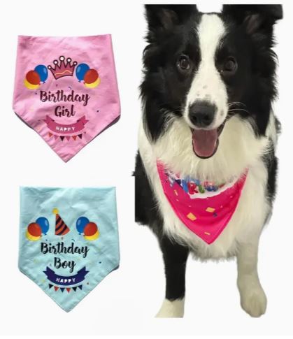 Pet Birthday Bandana
