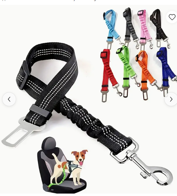 Bungee Pet Seat Belt