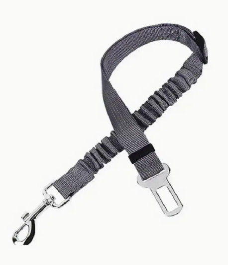 Bungee Pet Seat Belt