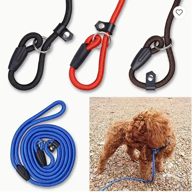 Slip Lead Dog Leash