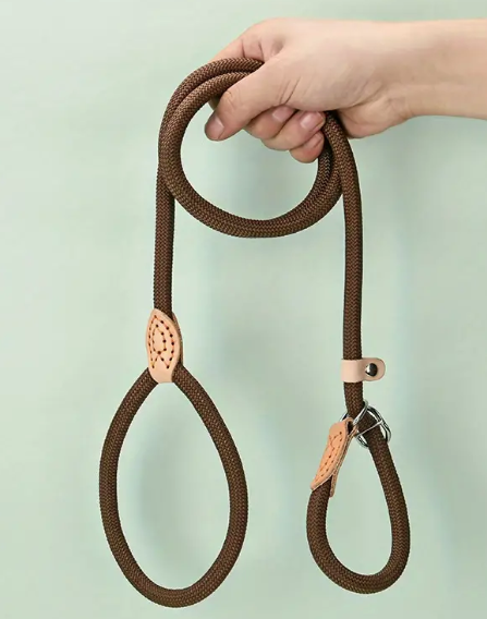 Slip Lead Dog Leash