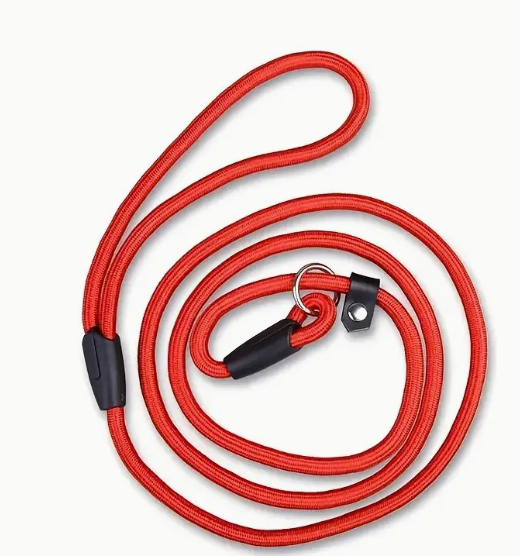 Slip Lead Dog Leash