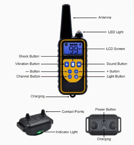 Dog Training Collar