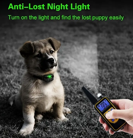 Dog Training Collar