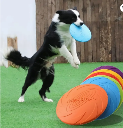 Flying Disc Pet Toy