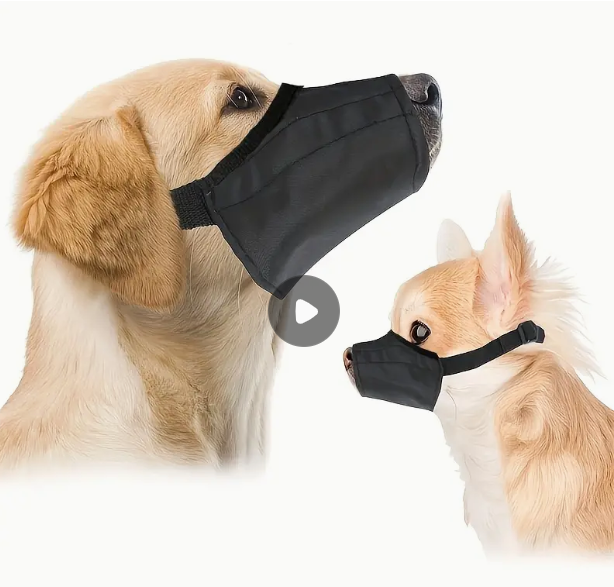 Quick-Fit Dog Muzzle