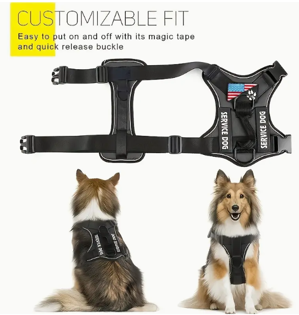Service Dog Harness w. Patches