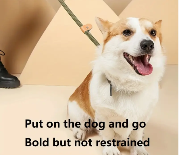 Slip Lead Dog Leash