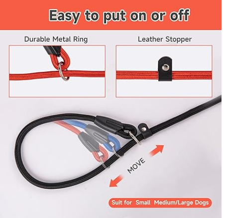 Slip Lead Dog Leash