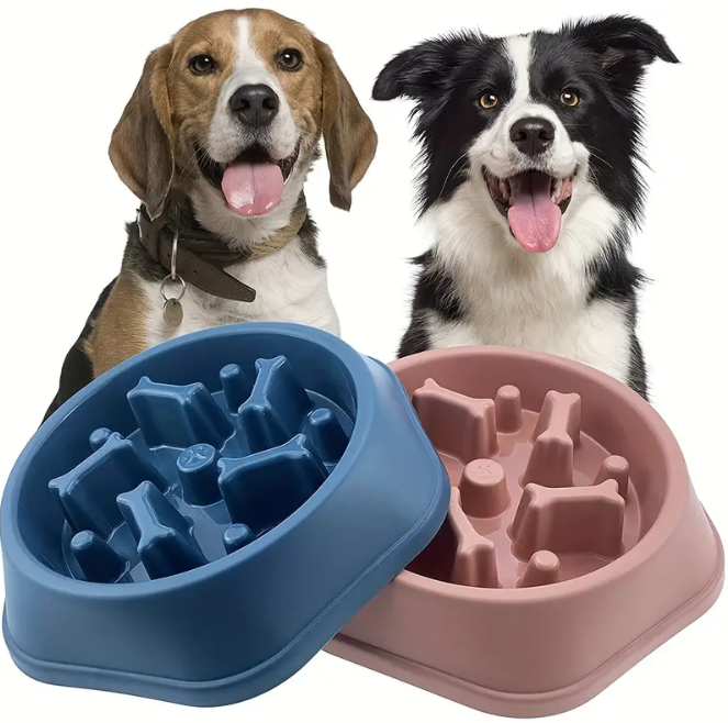 Non-Slip Slow Feeder Pet Bowl