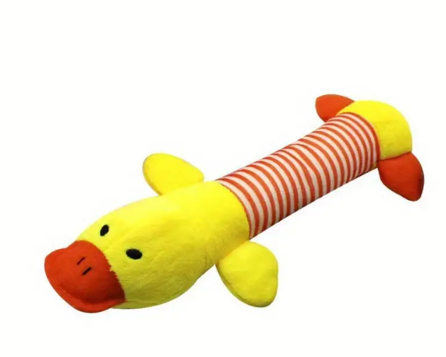Squeaky Dog Toy